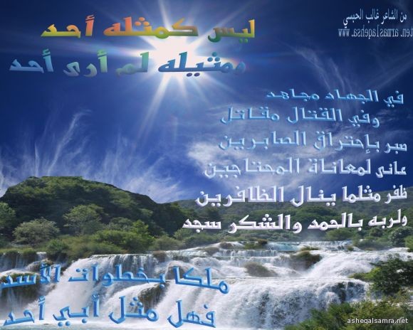 ليس كمثله أحد