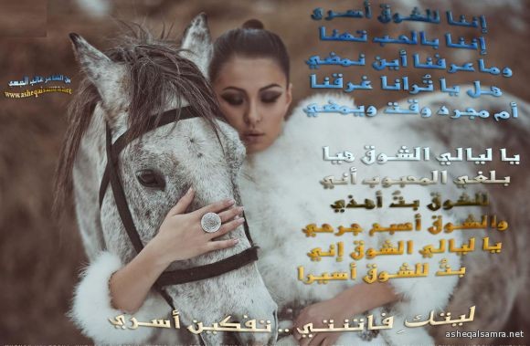 ليالي الشوق