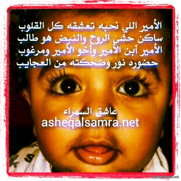 الأمير طالب