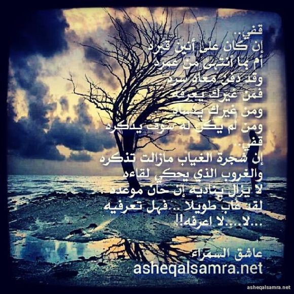 قفي