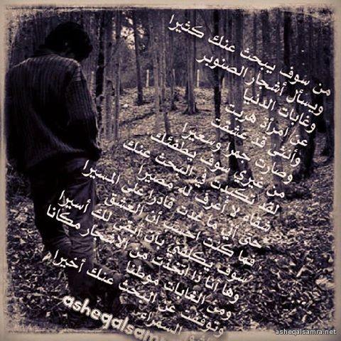 البحث