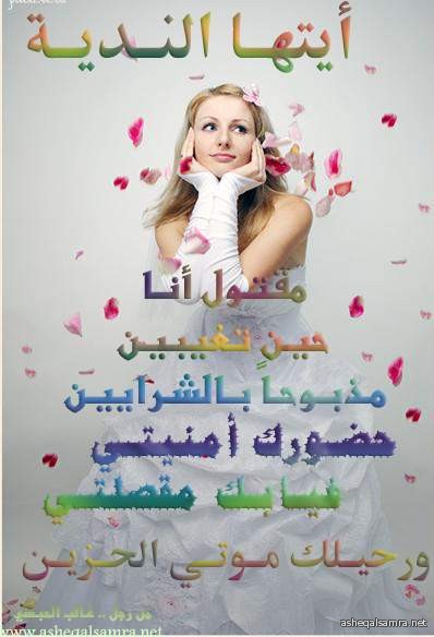 أيتها الندية