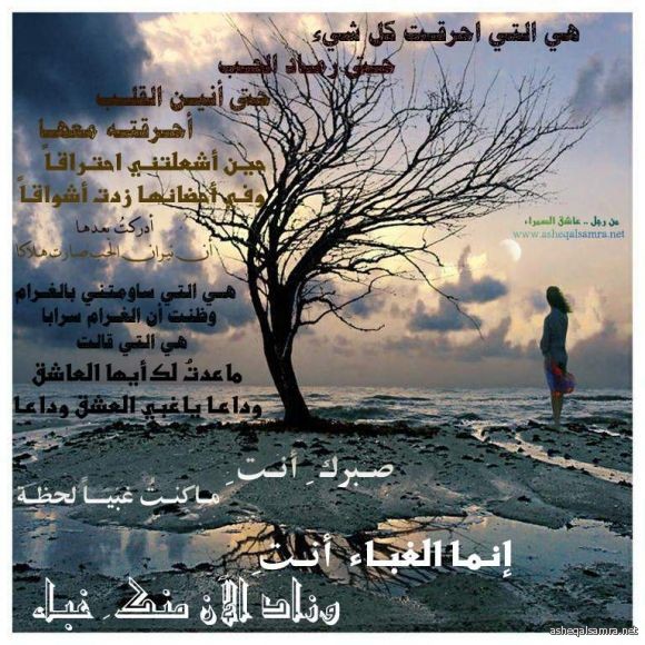 هي التي