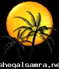صورة وحرف 87