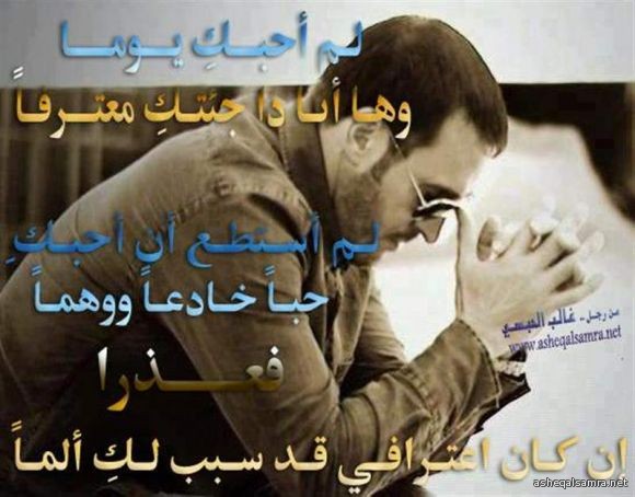 لم أحبكِ يوماً