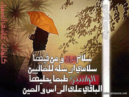 سلامي للوافي