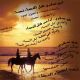 في سفري
